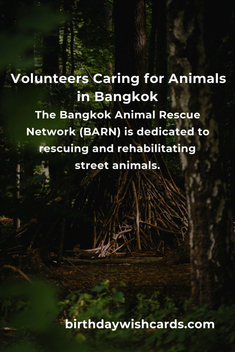 Best Animal Shelter Volunteer Programs in Bangkok for Compassionate Animal Lovers