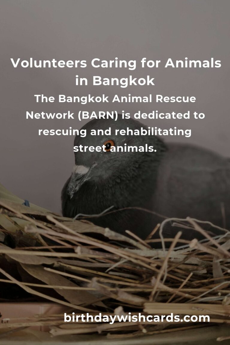Best Animal Shelter Volunteer Programs in Bangkok for Compassionate Animal Lovers
