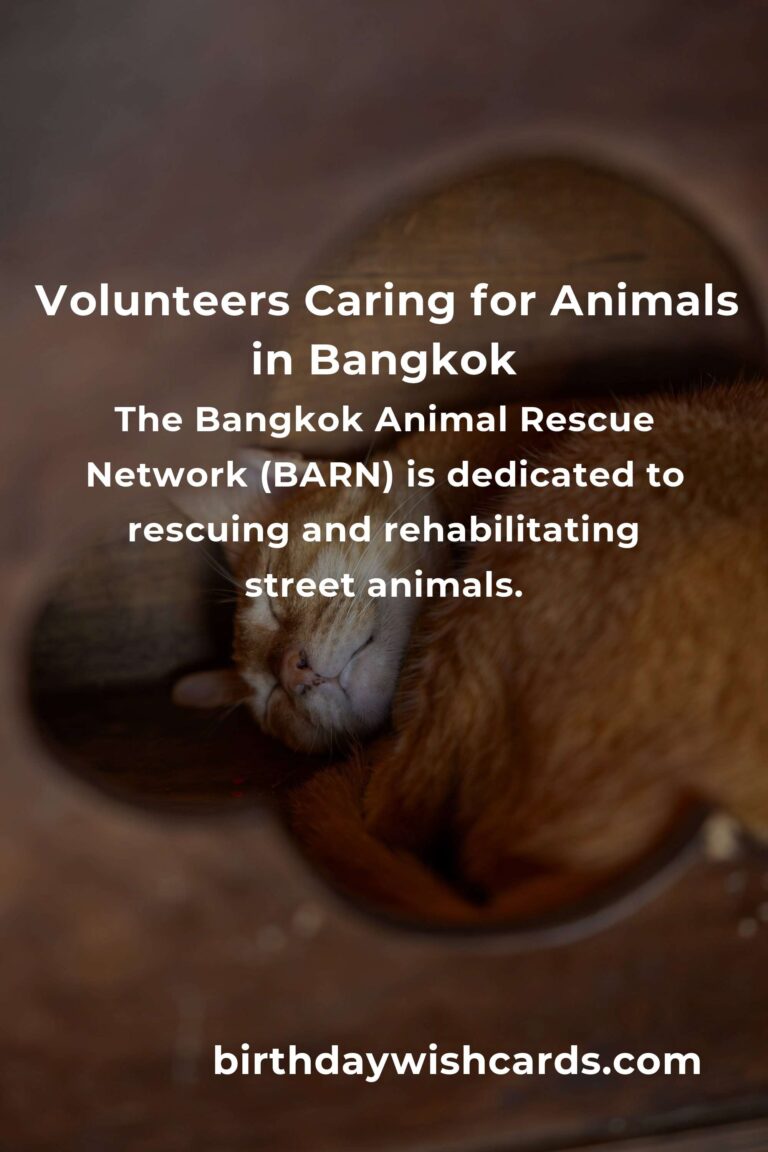 Best Animal Shelter Volunteer Programs in Bangkok for Compassionate Animal Lovers