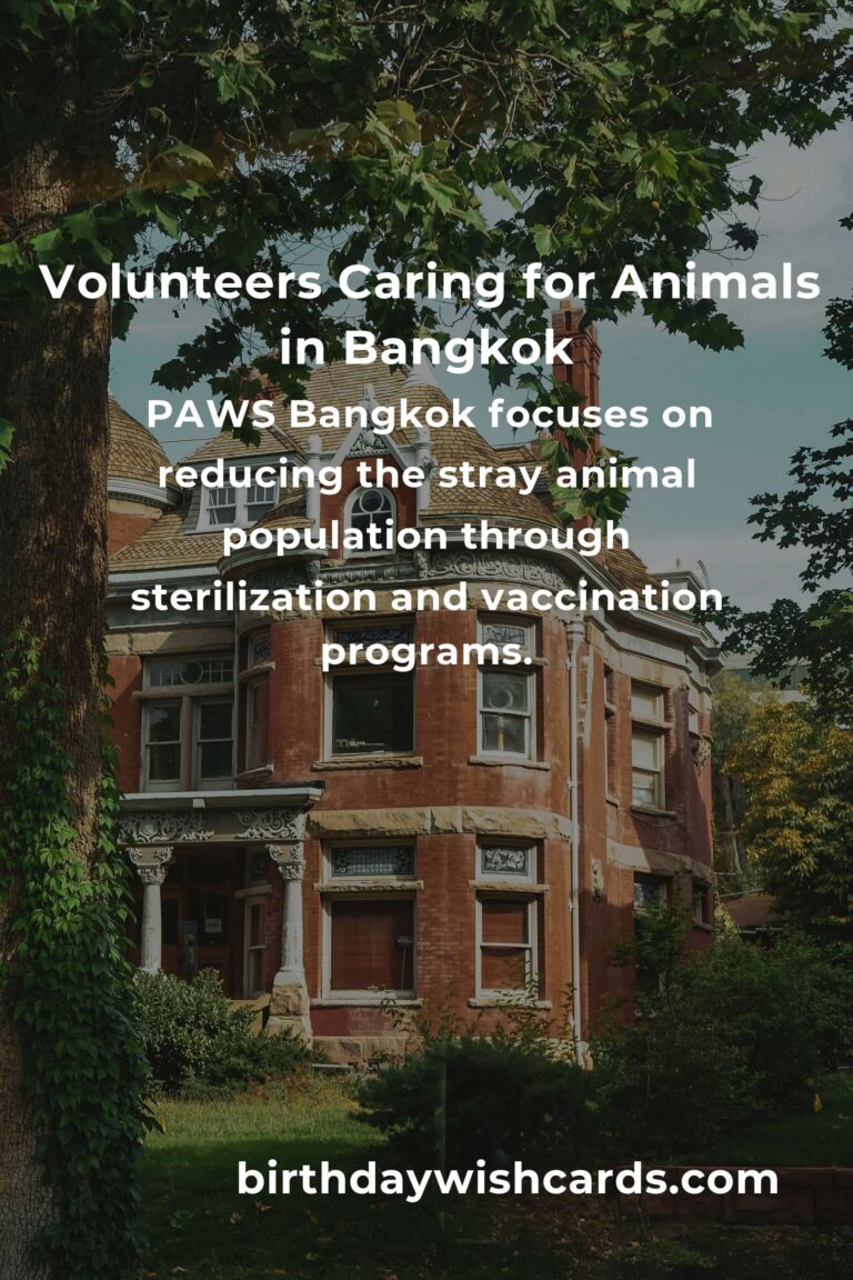 Best Animal Shelter Volunteer Programs in Bangkok for Compassionate Animal Lovers