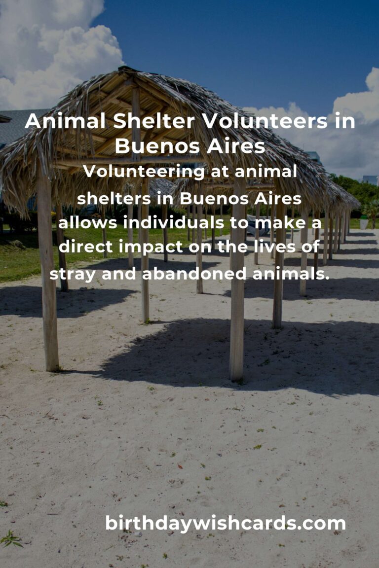 Best Animal Shelter Volunteer Programs in Buenos Aires