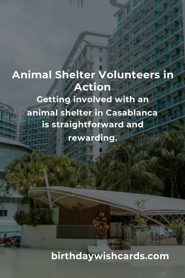 Best Animal Shelter Volunteer Programs in Casablanca