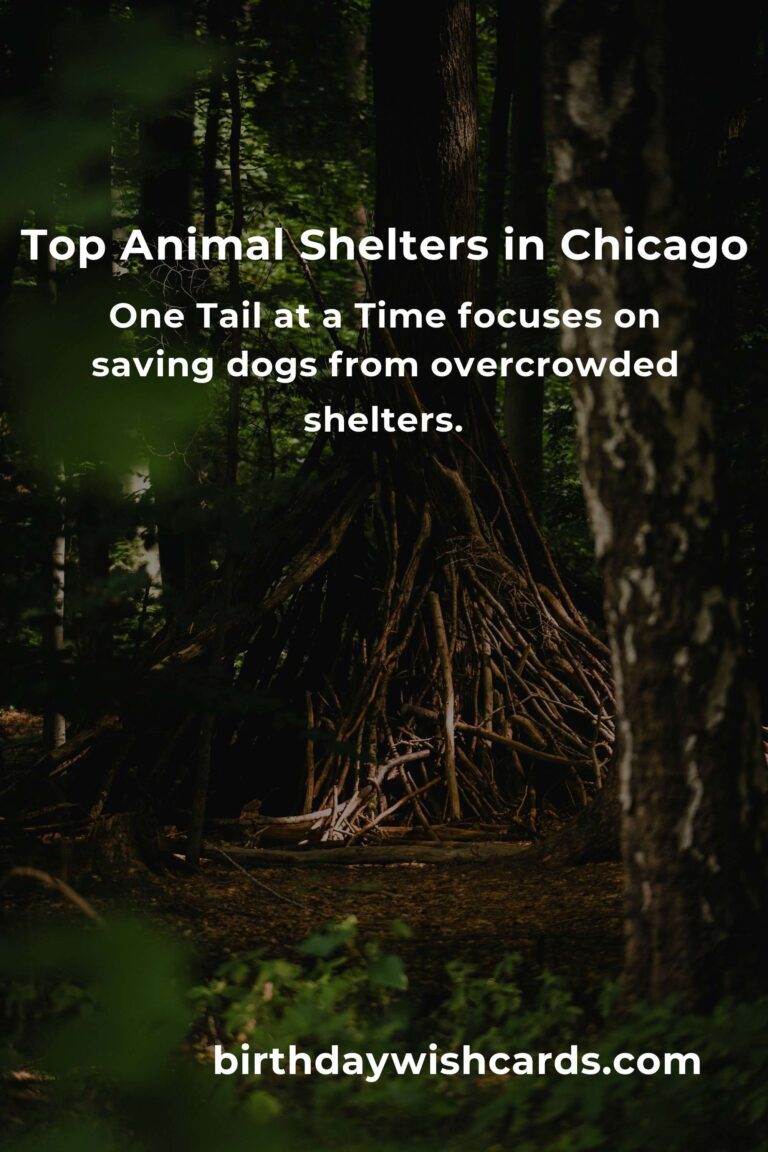 Best Animal Shelter Volunteer Programs in Chicago