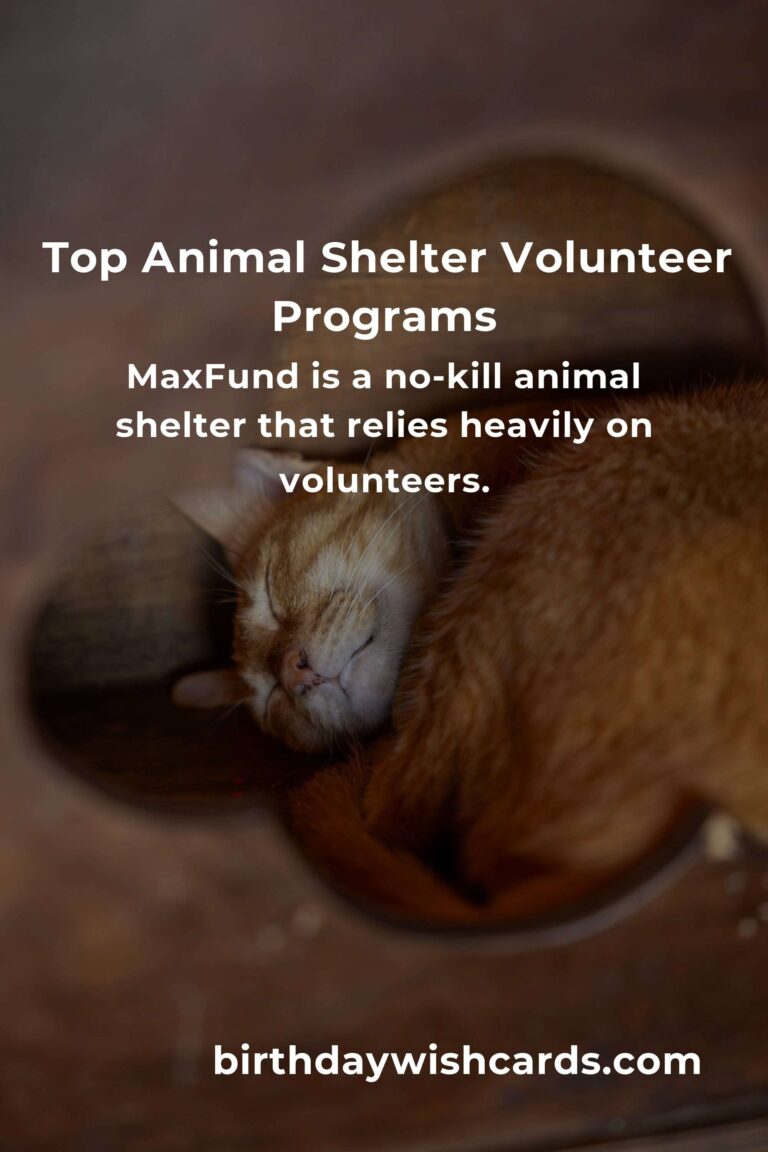 Best Animal Shelter Volunteer Programs in Denver