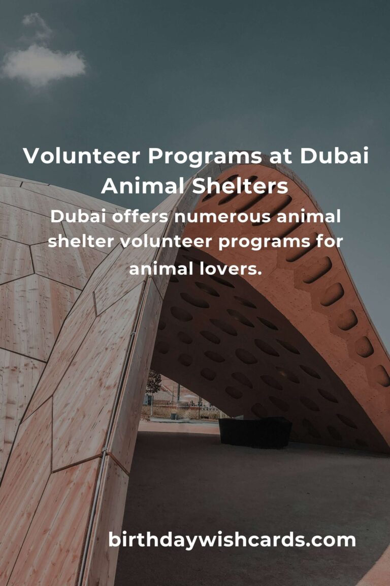 Best Animal Shelter Volunteer Programs in Dubai