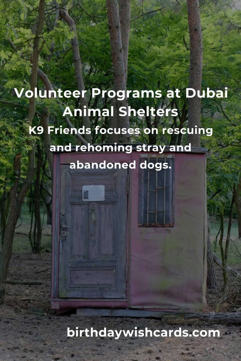 Best Animal Shelter Volunteer Programs in Dubai