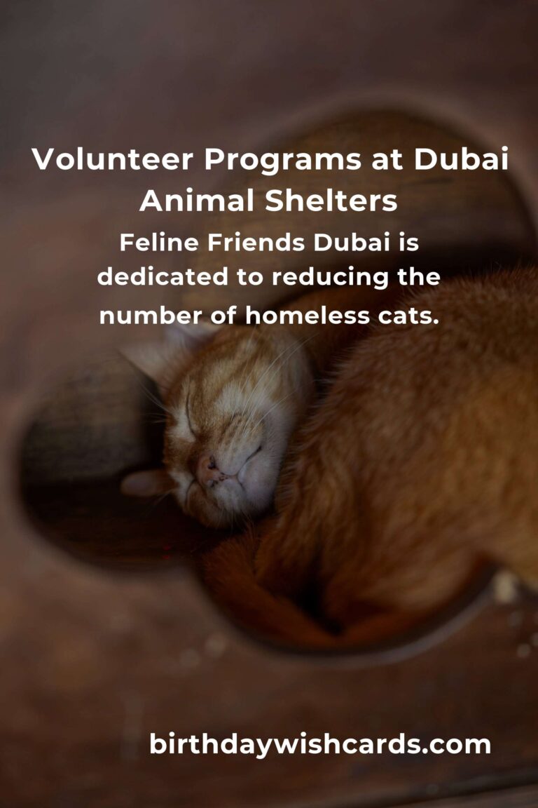Best Animal Shelter Volunteer Programs in Dubai