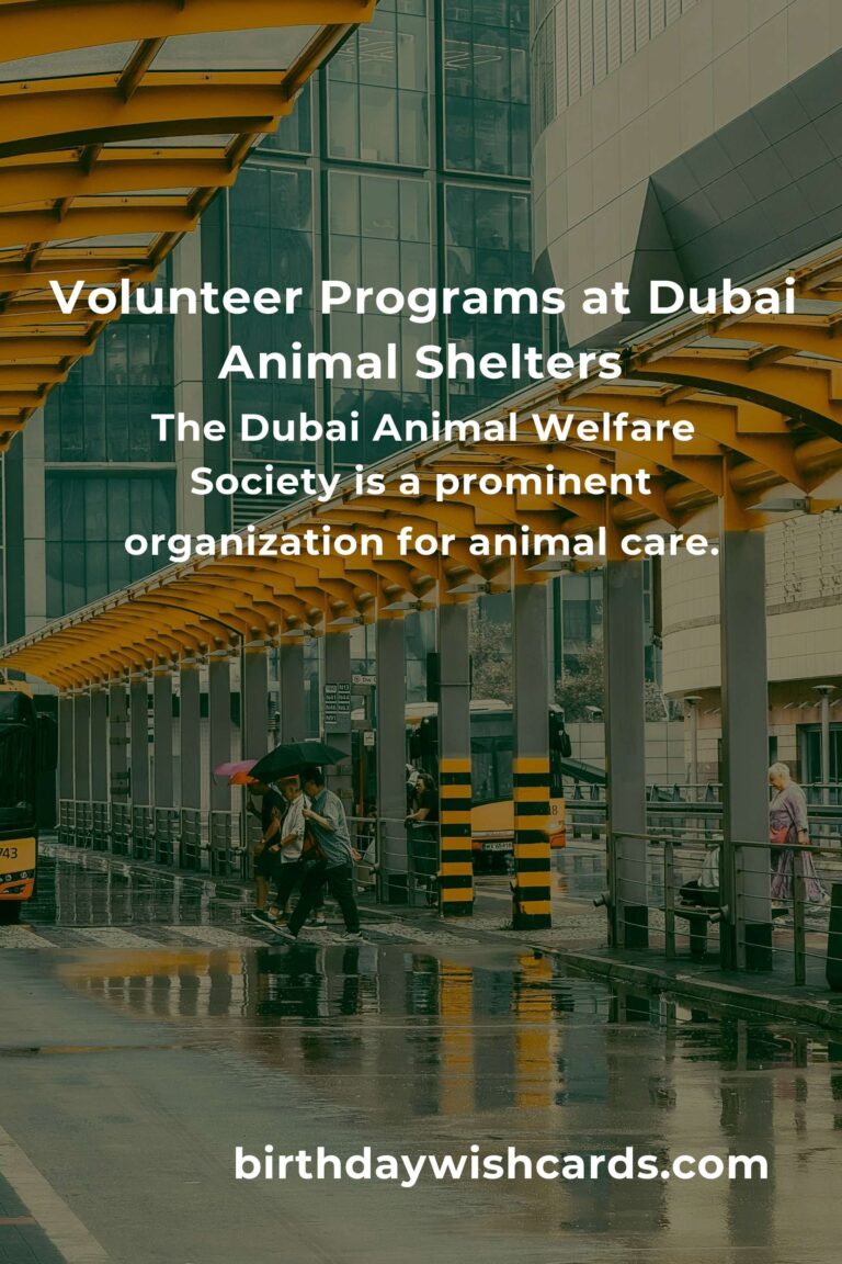 Best Animal Shelter Volunteer Programs in Dubai