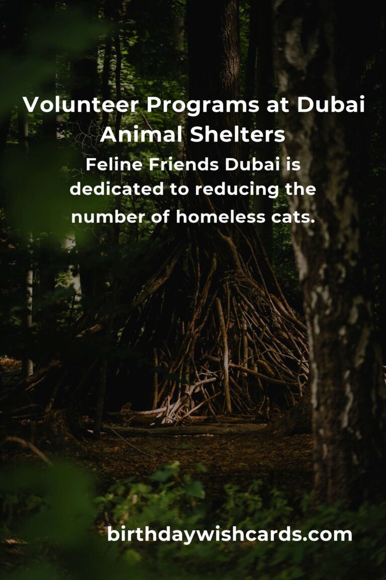 Best Animal Shelter Volunteer Programs in Dubai
