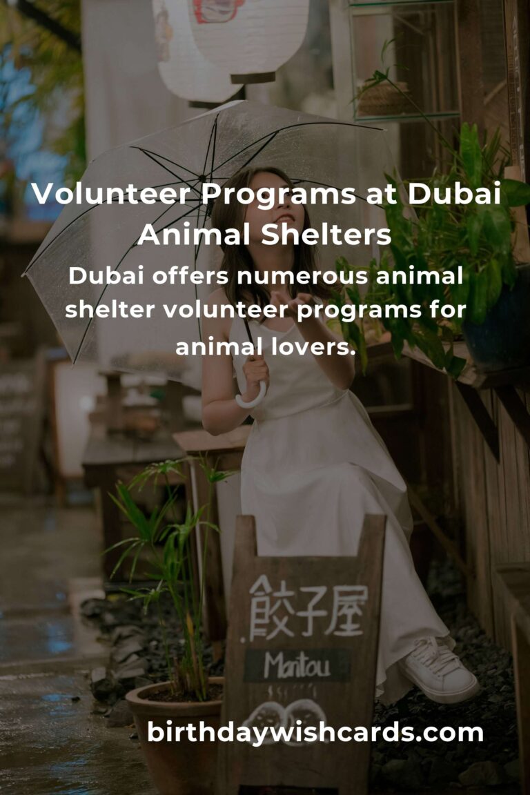 Best Animal Shelter Volunteer Programs in Dubai