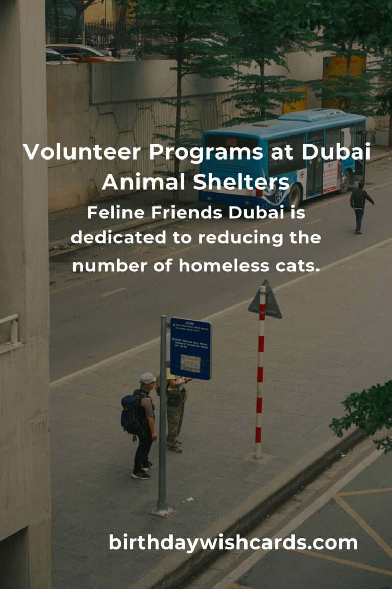 Best Animal Shelter Volunteer Programs in Dubai