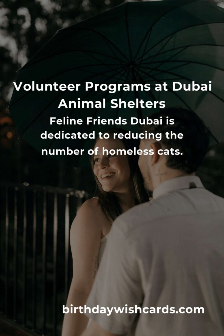 Best Animal Shelter Volunteer Programs in Dubai