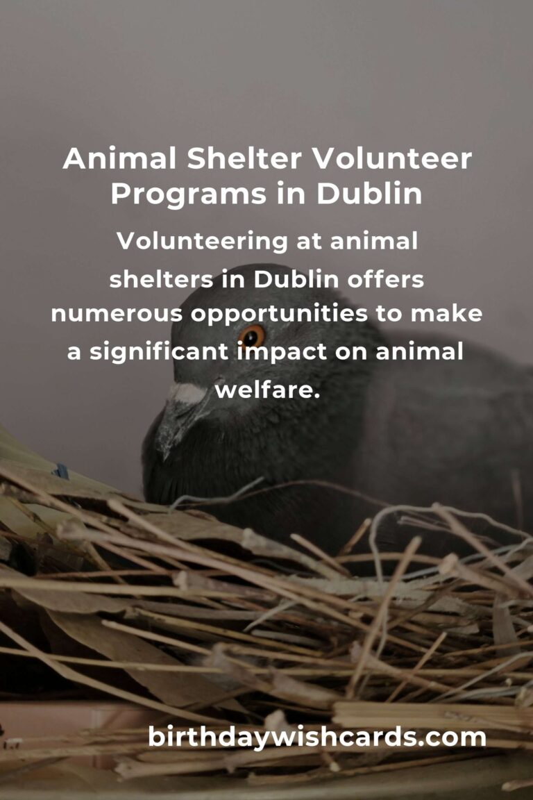 Best Animal Shelter Volunteer Programs in Dublin