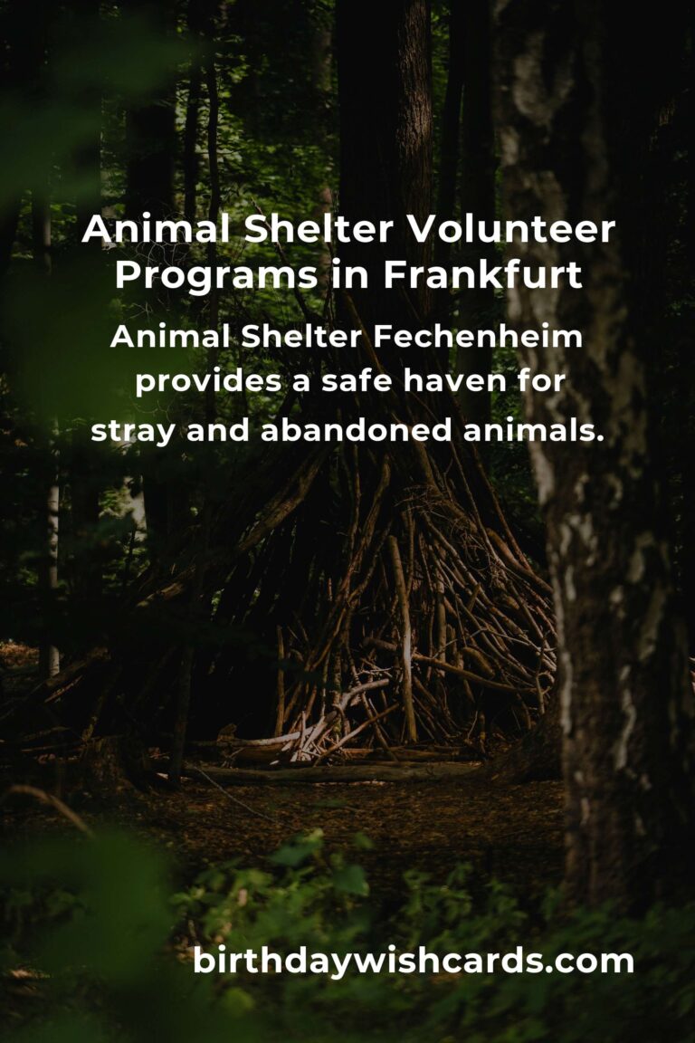 Best Animal Shelter Volunteer Programs in Frankfurt