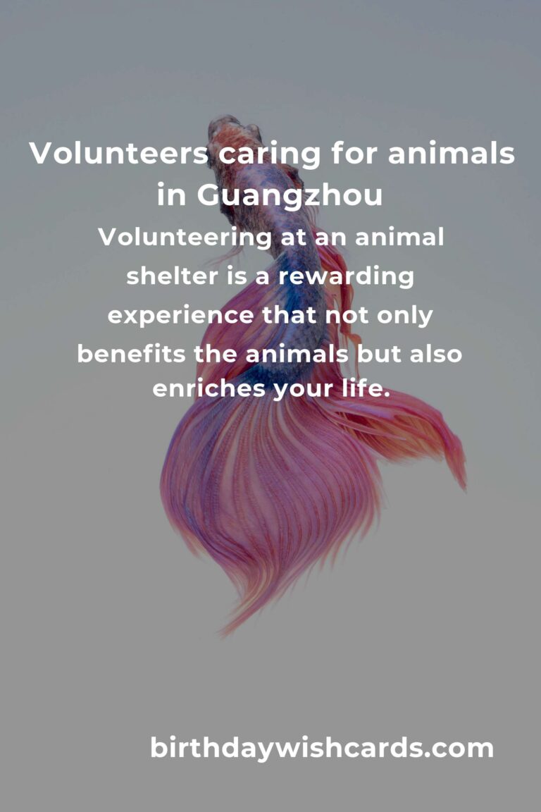 Best Animal Shelter Volunteer Programs in Guangzhou: A Guide to Making a Difference