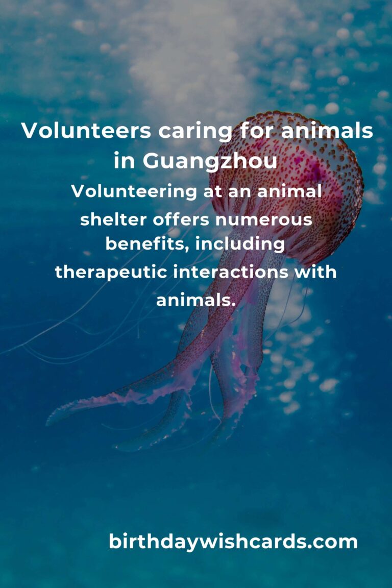 Best Animal Shelter Volunteer Programs in Guangzhou: A Guide to Making a Difference
