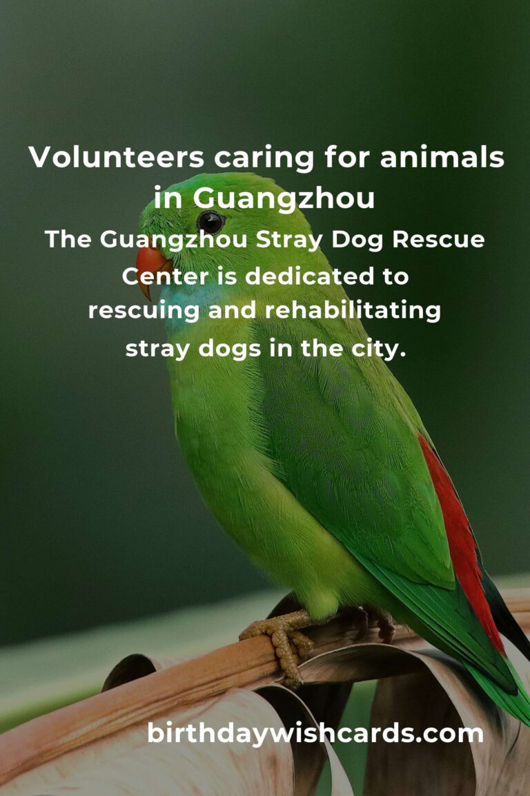 Best Animal Shelter Volunteer Programs in Guangzhou: A Guide to Making a Difference