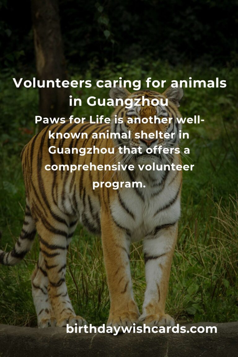 Best Animal Shelter Volunteer Programs in Guangzhou: A Guide to Making a Difference