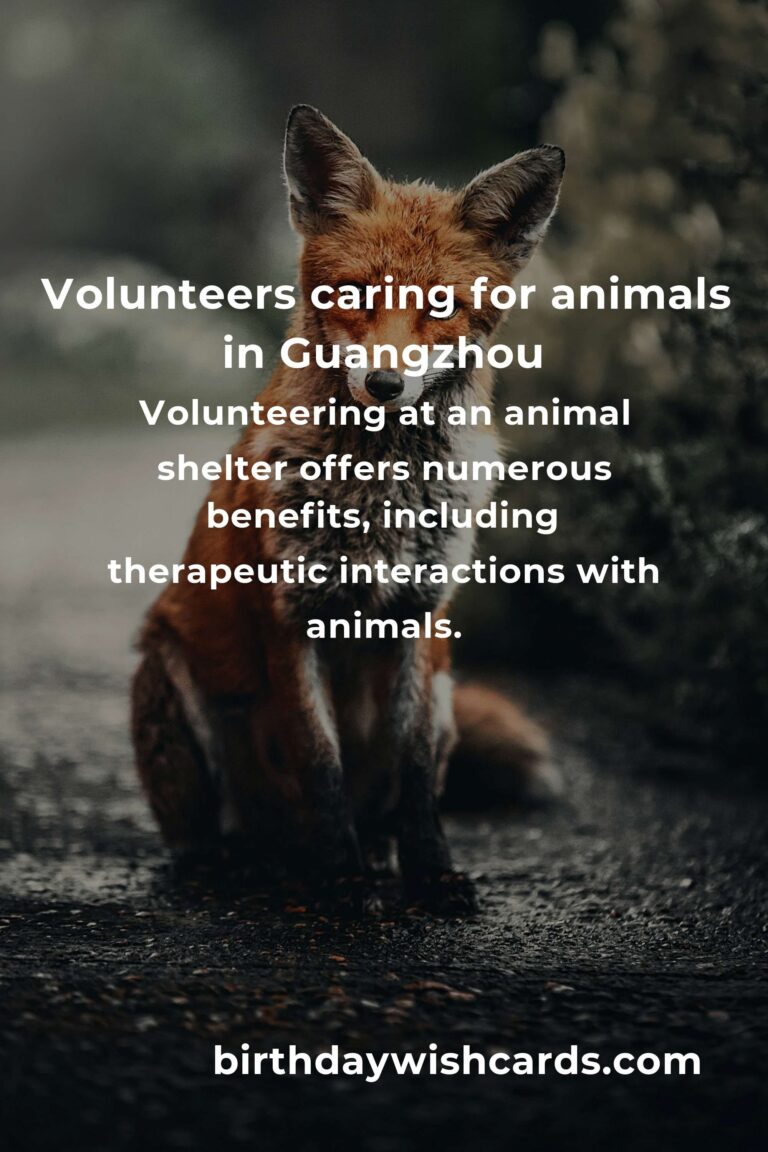 Best Animal Shelter Volunteer Programs in Guangzhou: A Guide to Making a Difference