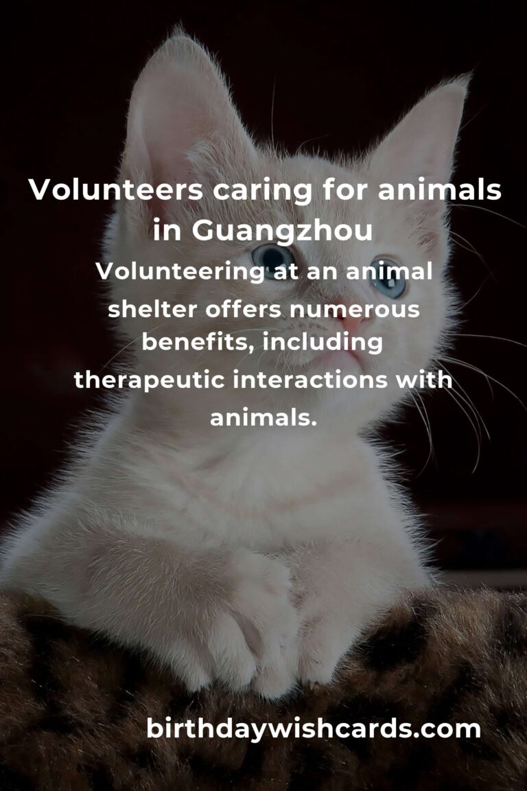 Best Animal Shelter Volunteer Programs in Guangzhou: A Guide to Making a Difference