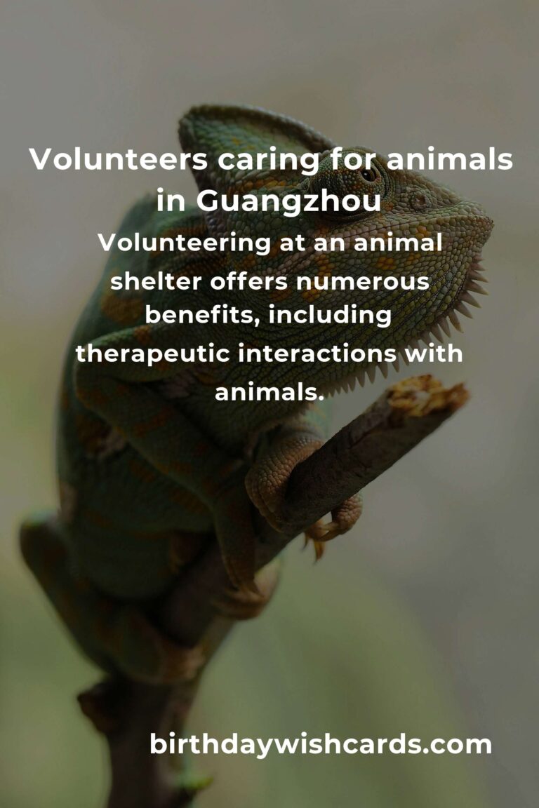 Best Animal Shelter Volunteer Programs in Guangzhou: A Guide to Making a Difference