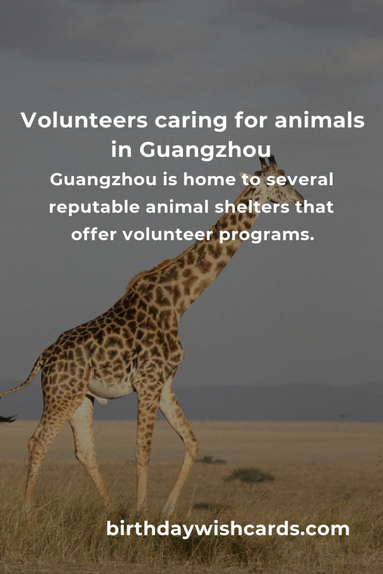 Best Animal Shelter Volunteer Programs in Guangzhou: A Guide to Making a Difference