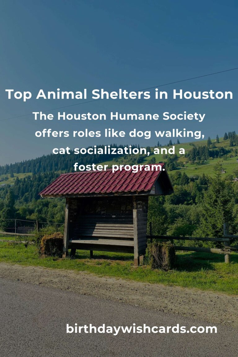 Best Animal Shelter Volunteer Programs in Houston