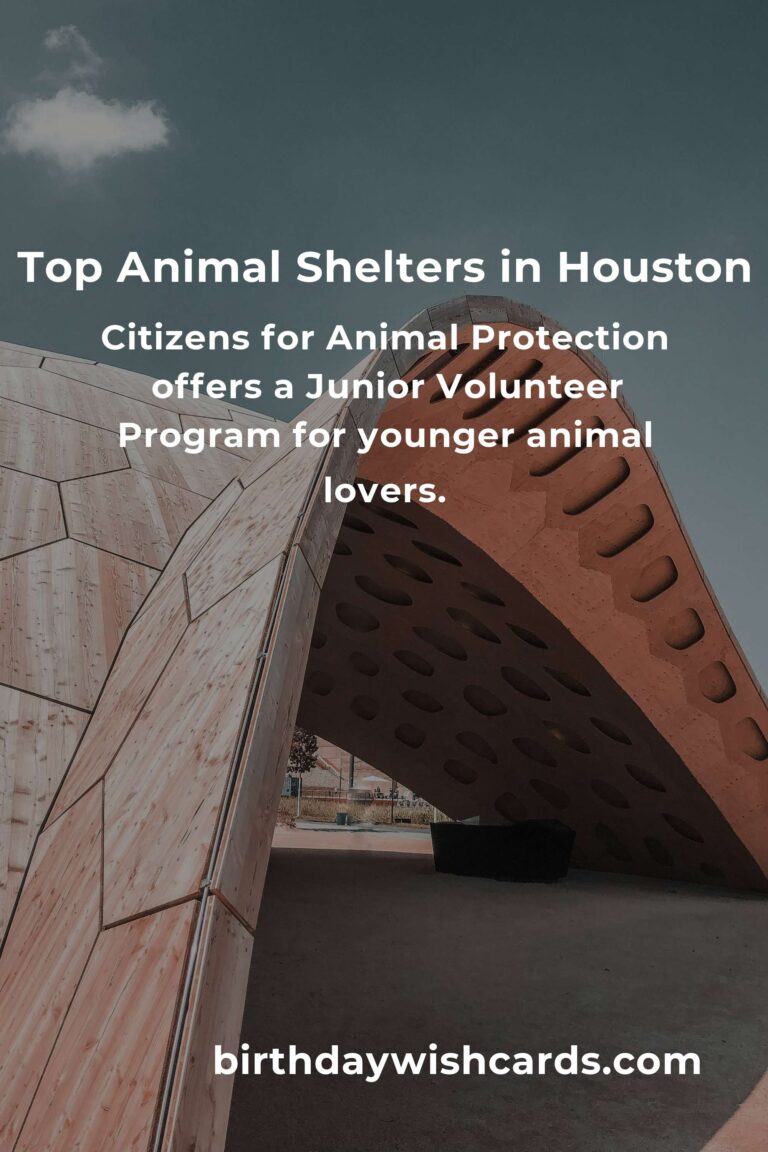 Best Animal Shelter Volunteer Programs in Houston