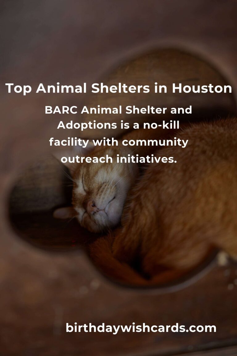 Best Animal Shelter Volunteer Programs in Houston