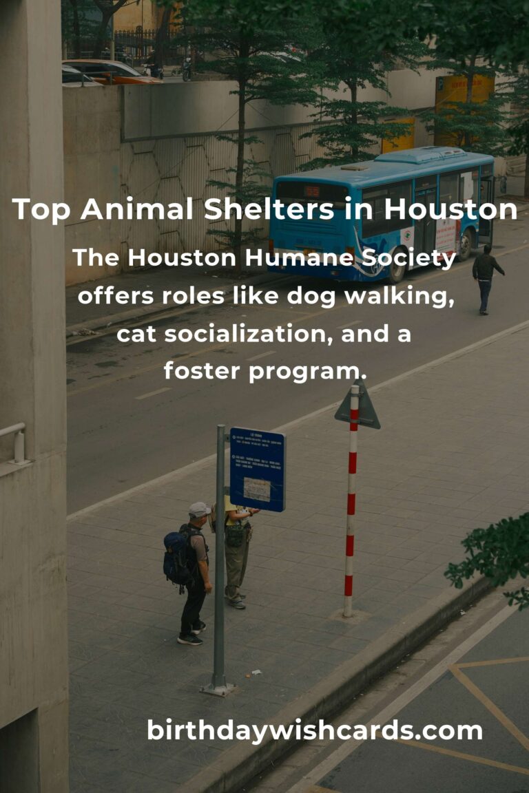 Best Animal Shelter Volunteer Programs in Houston
