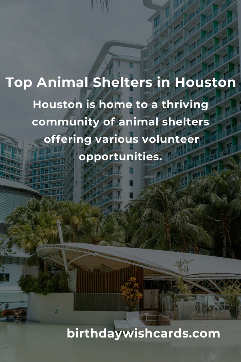 Best Animal Shelter Volunteer Programs in Houston