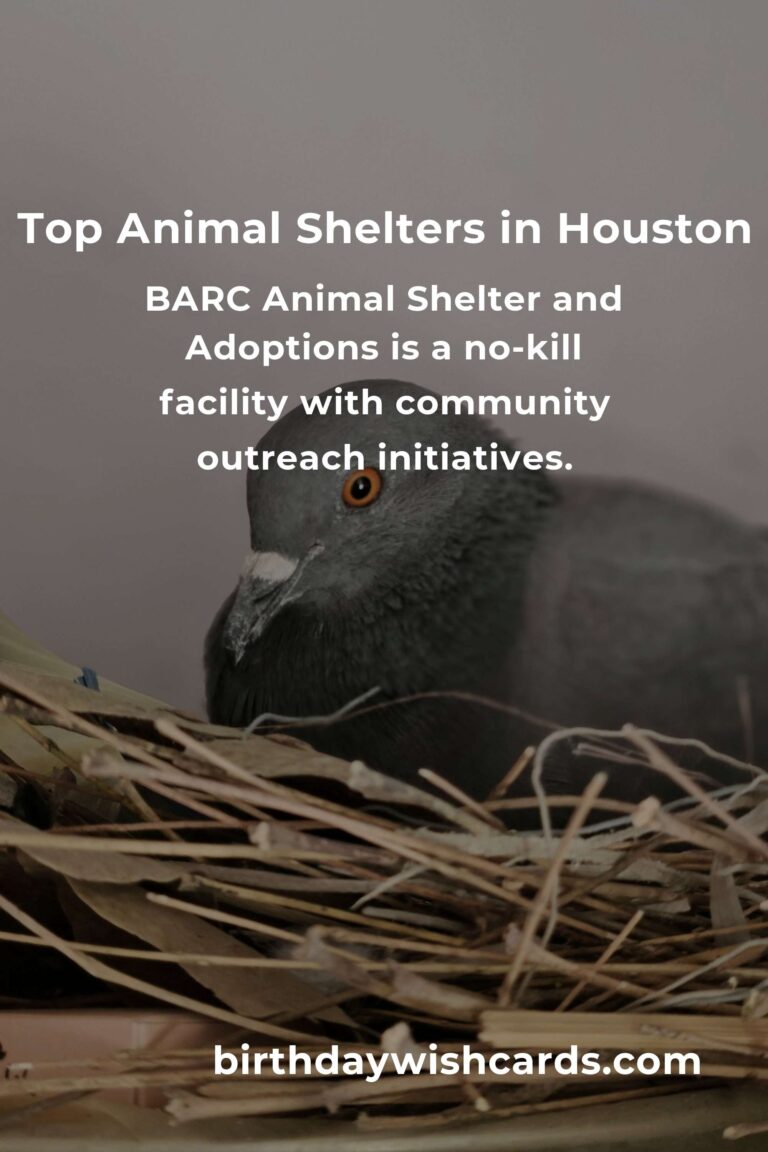 Best Animal Shelter Volunteer Programs in Houston