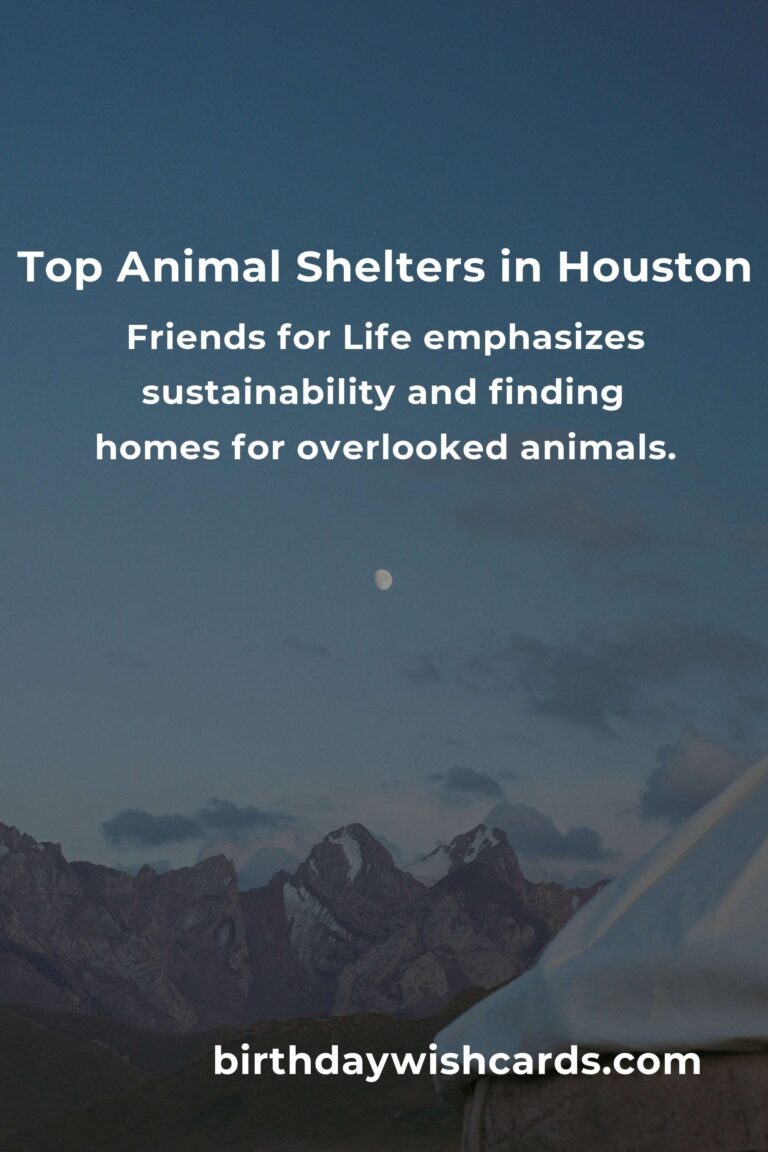 Best Animal Shelter Volunteer Programs in Houston