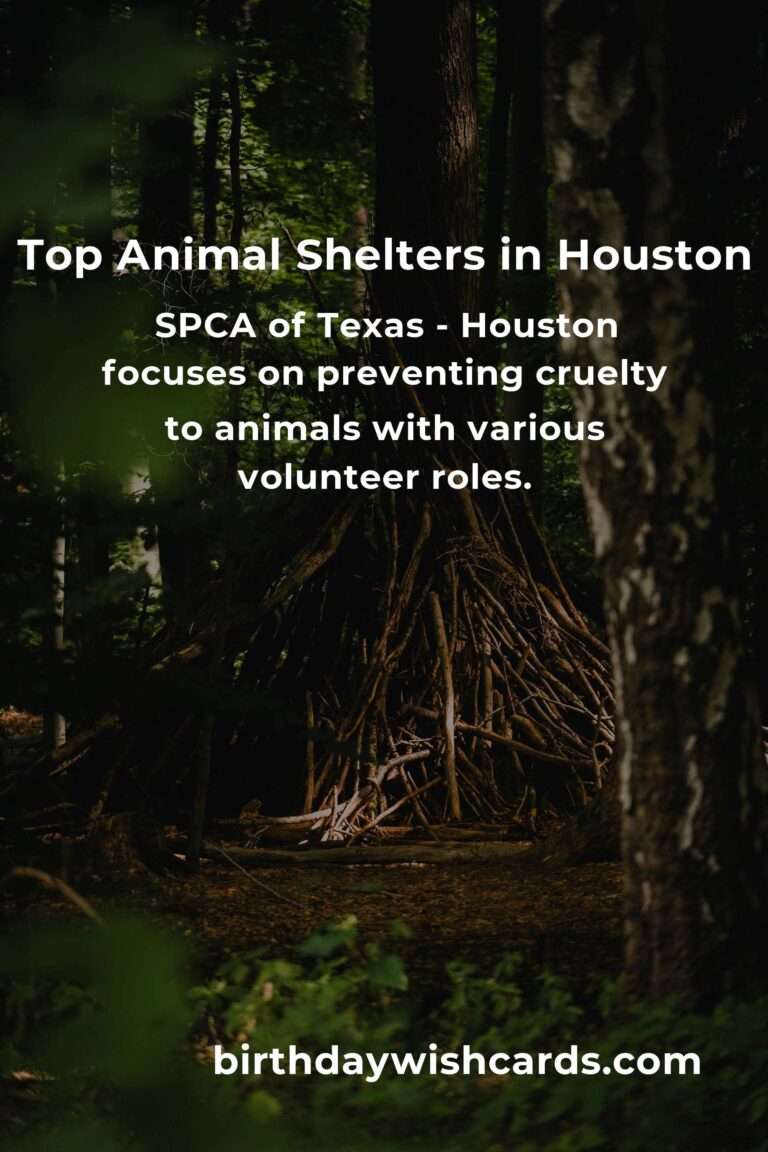 Best Animal Shelter Volunteer Programs in Houston