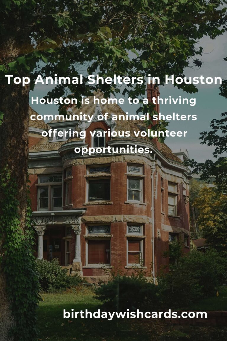 Best Animal Shelter Volunteer Programs in Houston