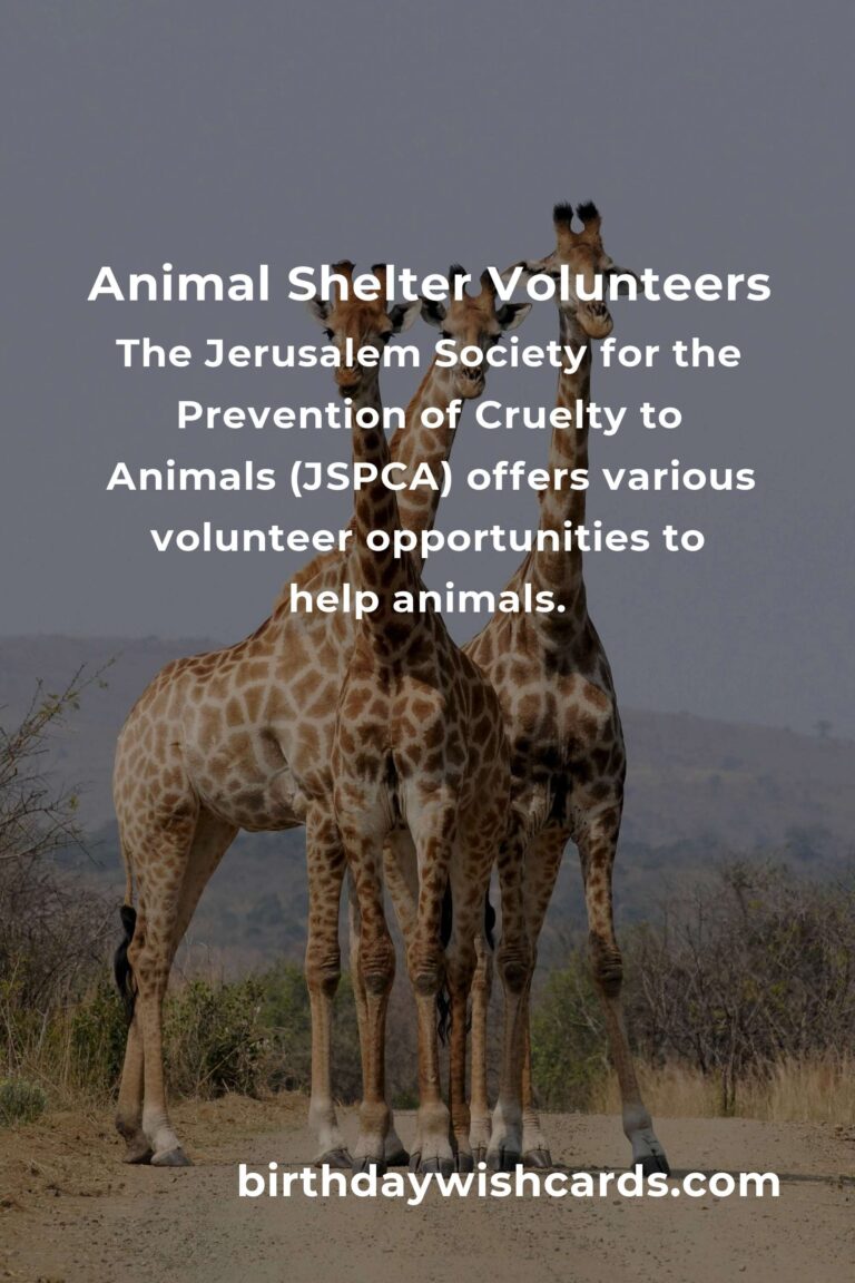 Best Animal Shelter Volunteer Programs in Jerusalem
