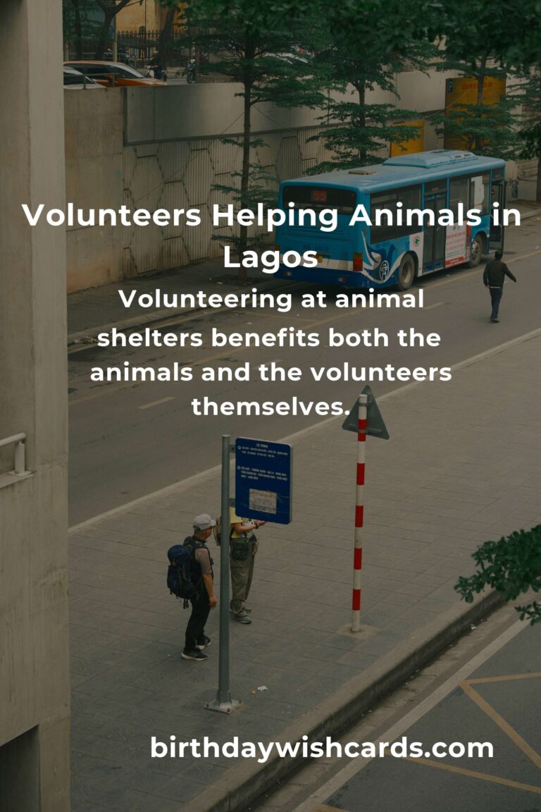Best Animal Shelter Volunteer Programs in Lagos