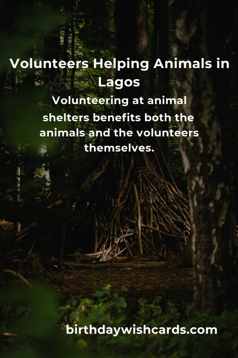 Best Animal Shelter Volunteer Programs in Lagos