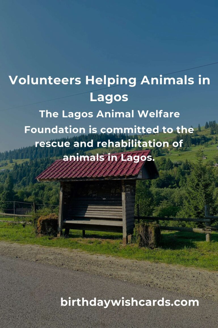 Best Animal Shelter Volunteer Programs in Lagos