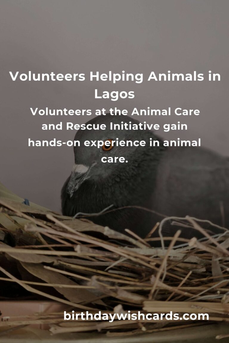 Best Animal Shelter Volunteer Programs in Lagos