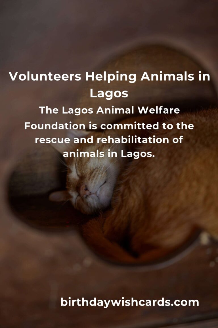 Best Animal Shelter Volunteer Programs in Lagos