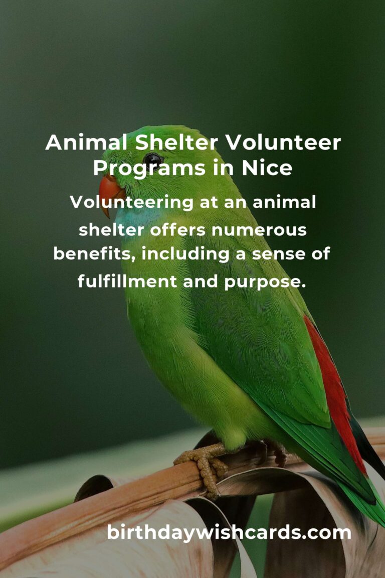 Best Animal Shelter Volunteer Programs in Nice for Animal Lovers