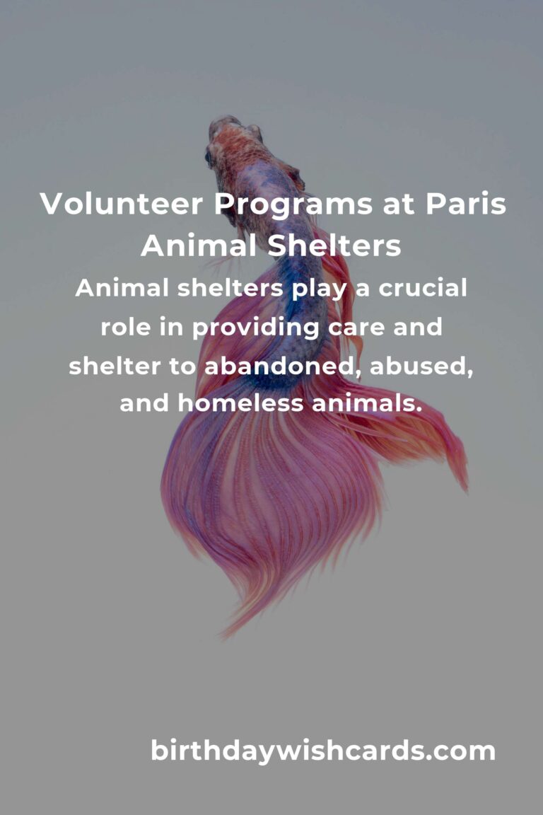 Best Animal Shelter Volunteer Programs in Paris