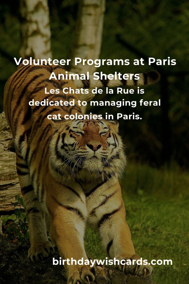 Best Animal Shelter Volunteer Programs in Paris