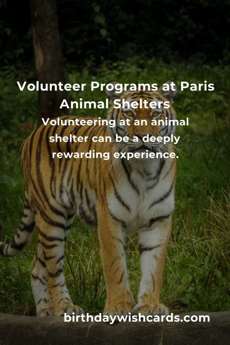 Best Animal Shelter Volunteer Programs in Paris