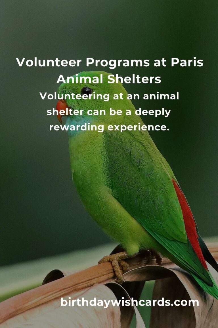 Best Animal Shelter Volunteer Programs in Paris