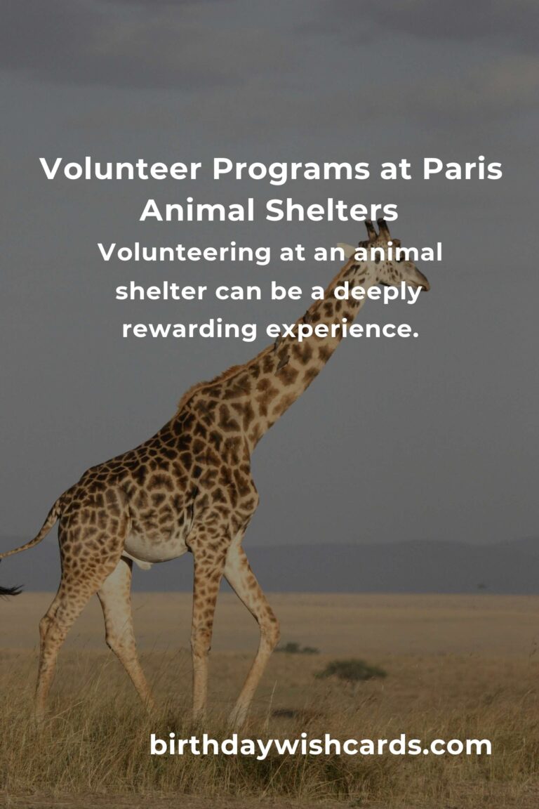 Best Animal Shelter Volunteer Programs in Paris