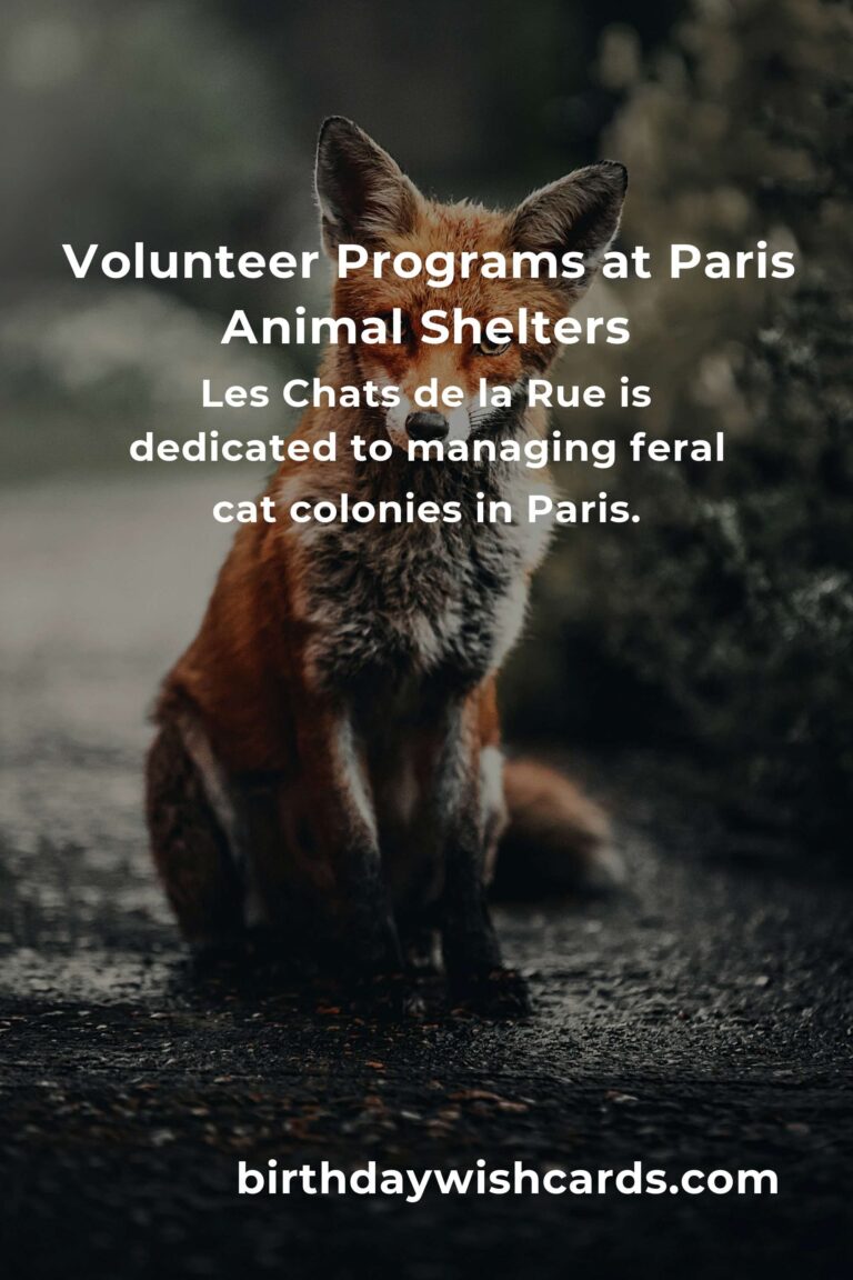 Best Animal Shelter Volunteer Programs in Paris