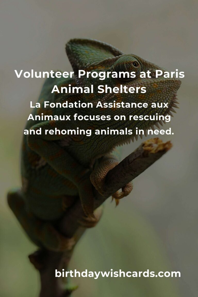 Best Animal Shelter Volunteer Programs in Paris