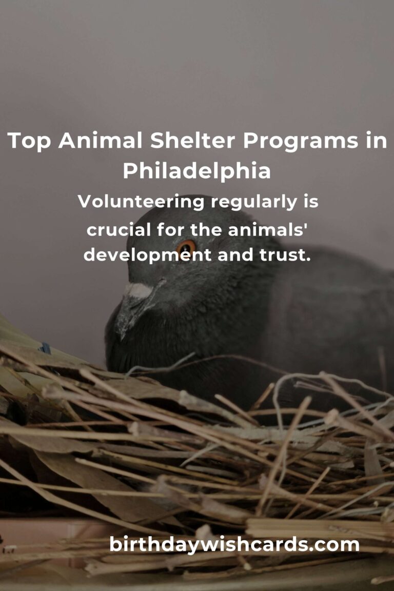 Best Animal Shelter Volunteer Programs in Philadelphia